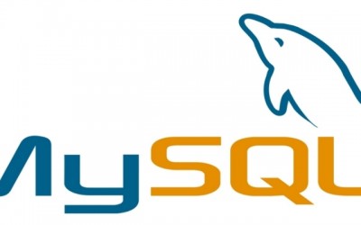 MySQL Database User: Which Privileges are needed?